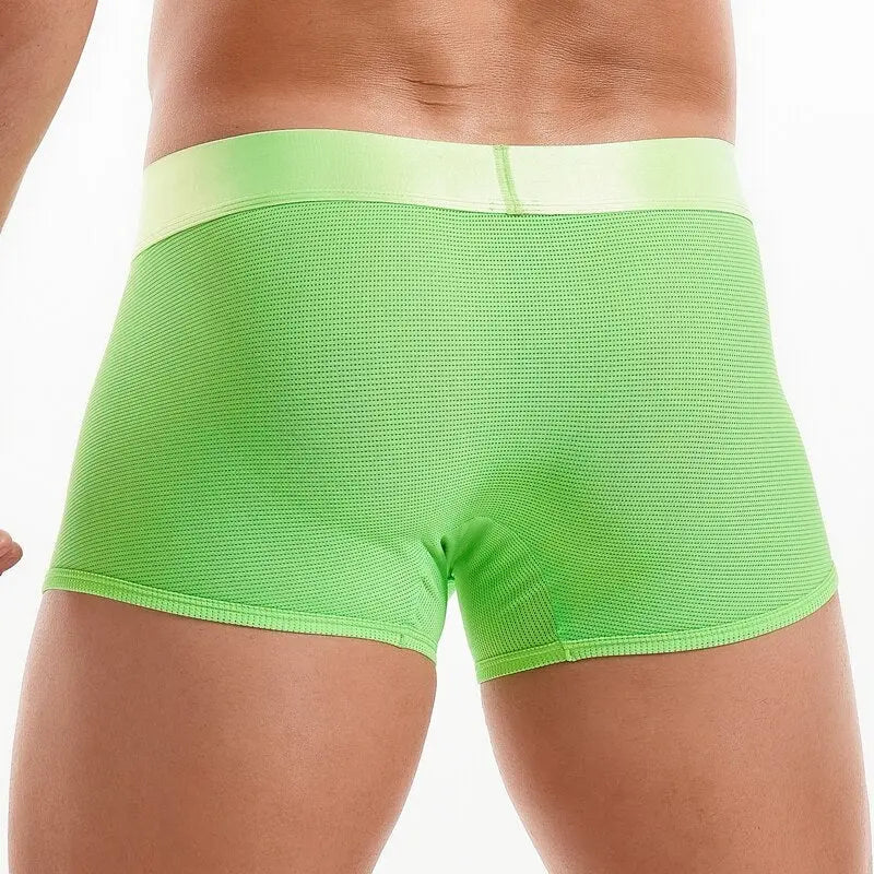 Shiny Waist Trunks