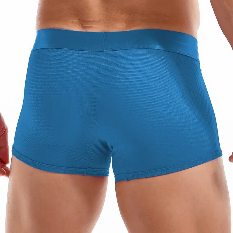 Shiny Waist Trunks