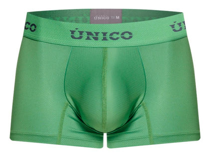Frog Green Trunk - view 5