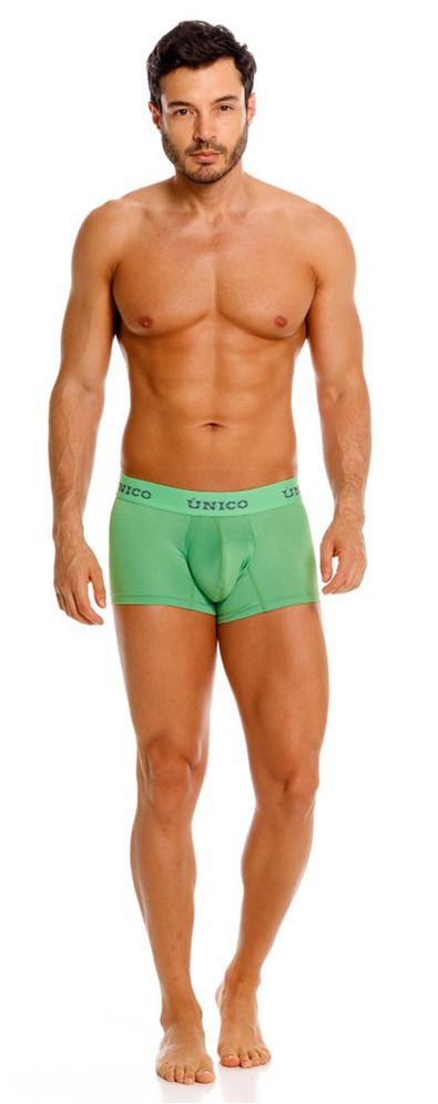 Frog Green Trunk - view 9