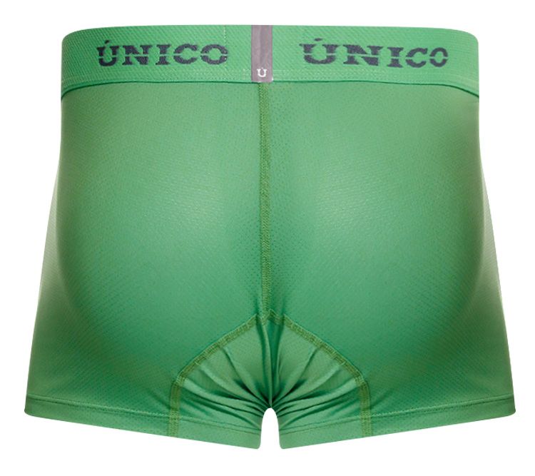 Frog Green Trunk - view 6