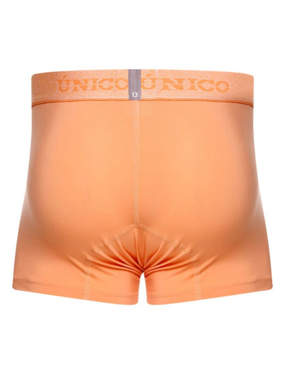 Classic Trunk Premium Support and Style - view 6