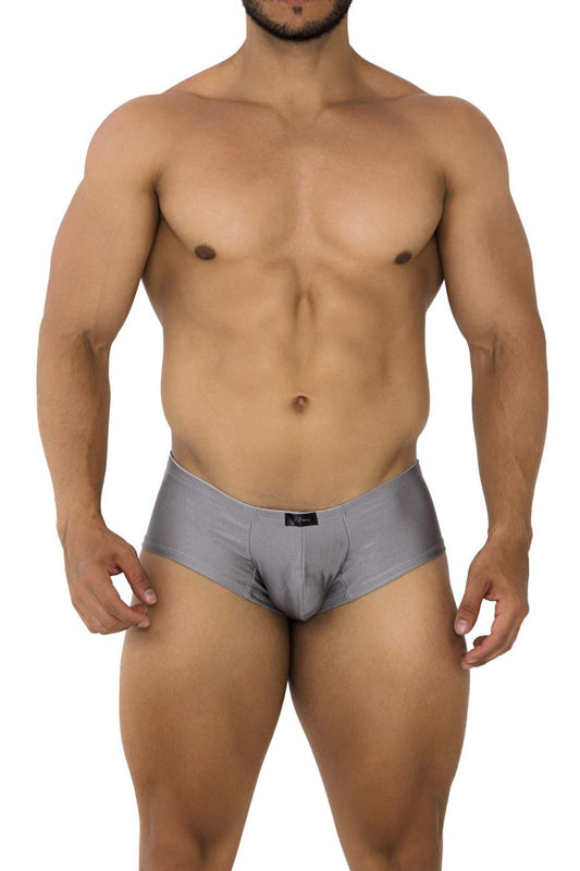Xtremen Men's Underwear 91180 Microfiber Trunks Color Silver
