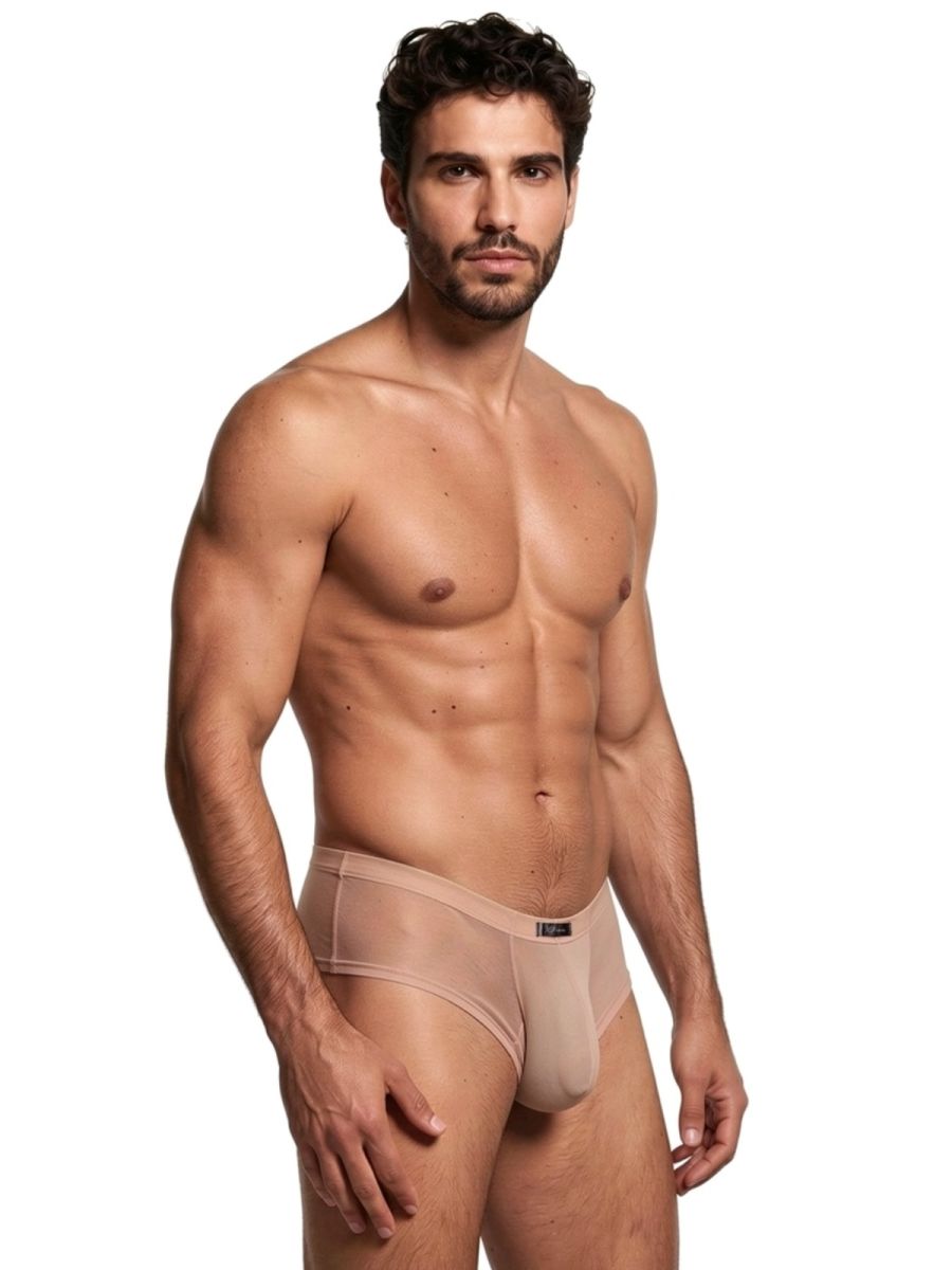 Xtremen 91263 Men's Underwear Microfiber Mesh Briefs Color Brown