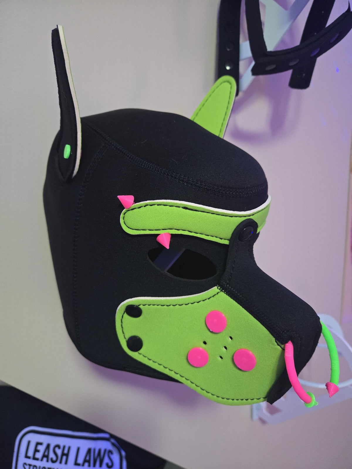 3D Printed Pup Hood Real Ear Piercing