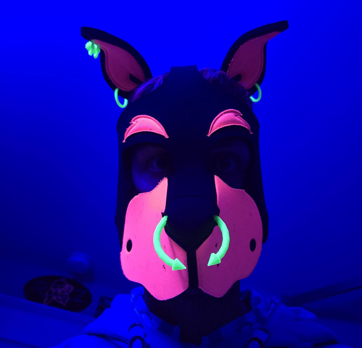 Mix & Match 3D Printed Pup Hood Piercings (3 or 5 pack)
