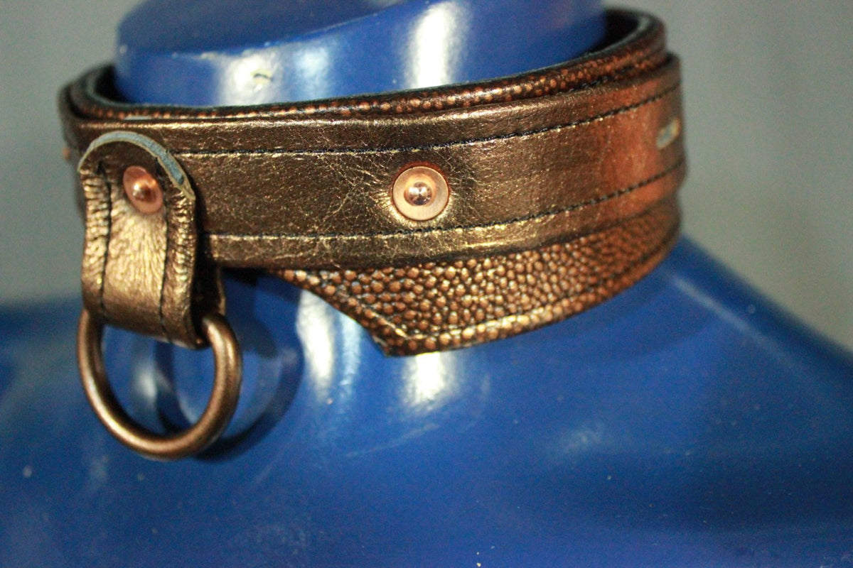Pup Copper's Collar - view 5