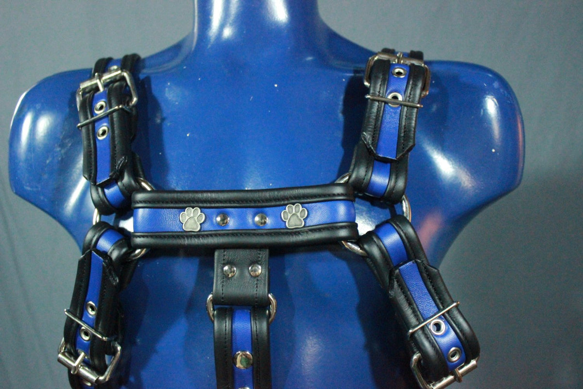 Full Body Bulldog Harness with Buckles and Puppy Paw Highlights - front view