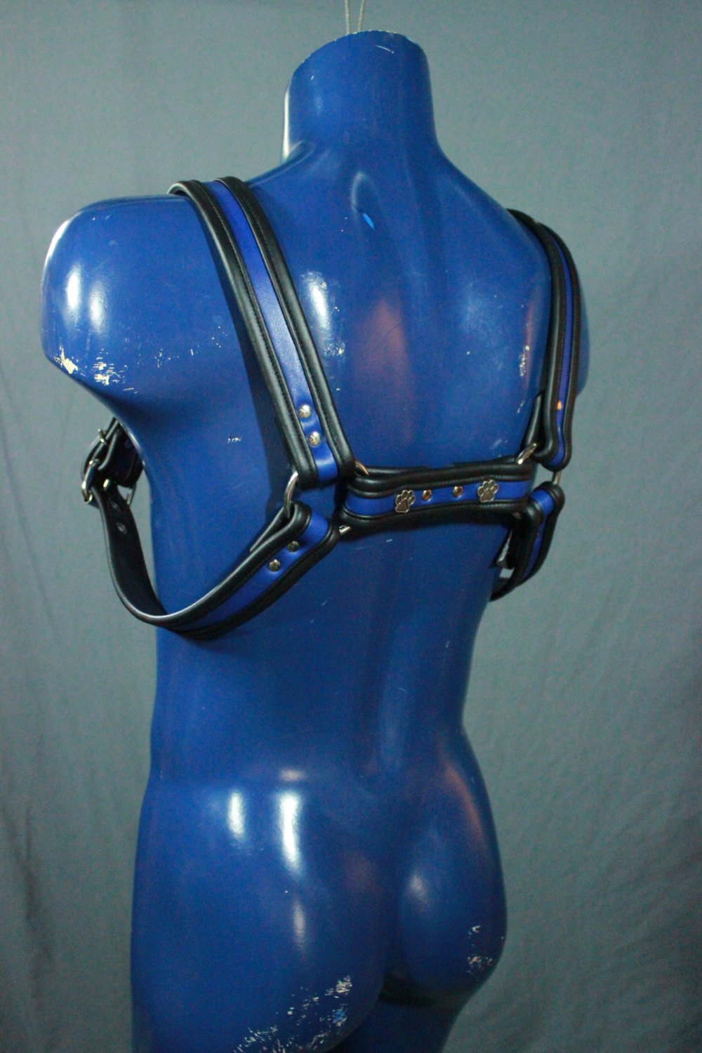 Full Body Bulldog Harness with Buckles and Puppy Paw Highlights - view 5