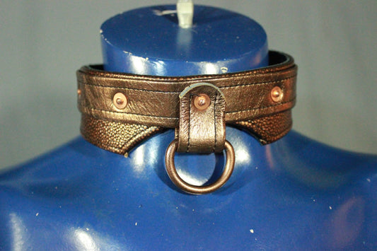 Pup Copper's Collar - front view