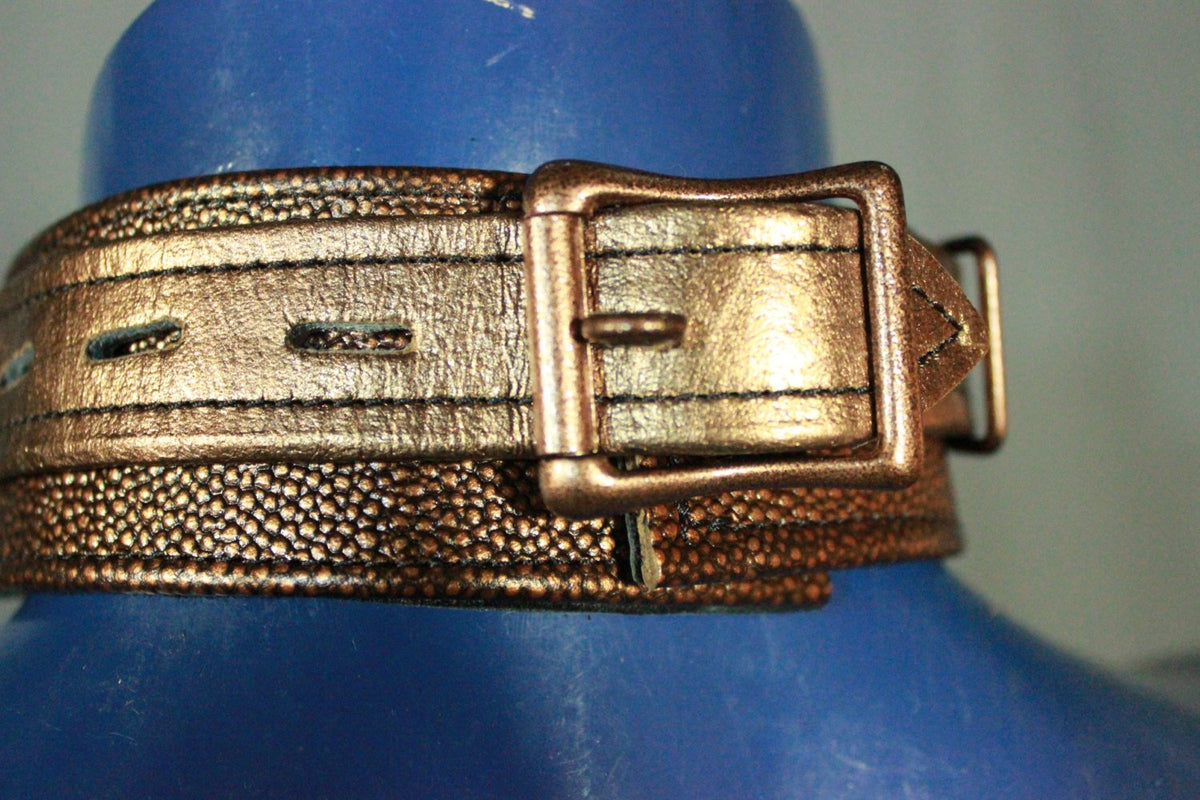 Pup Copper's Collar - view 2