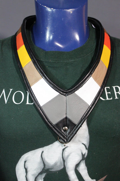 Medallion Holder in Bear Pride Colors - front view