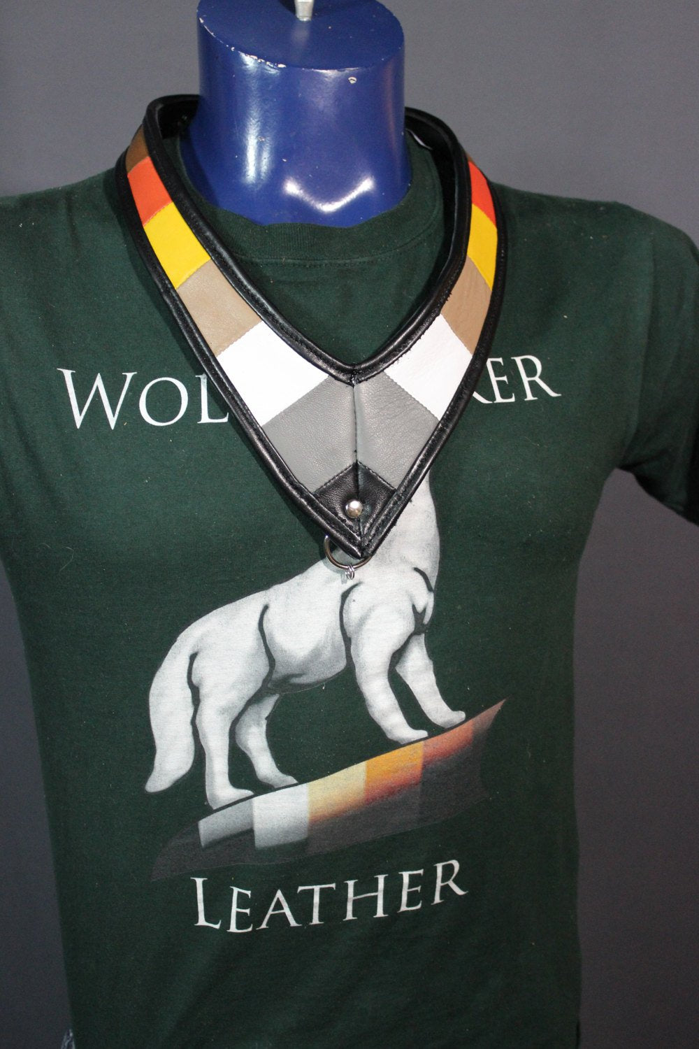 Medallion Holder in Bear Pride Colors - view 3