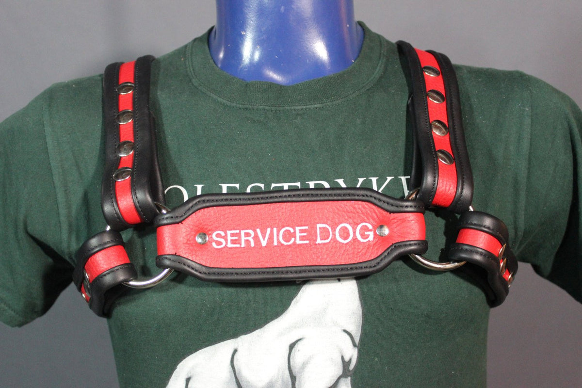 Service Dog Harness - front view