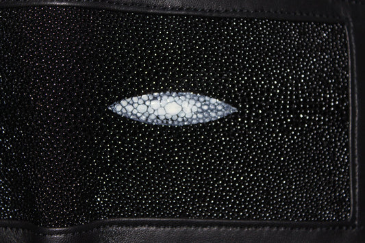 Stingray Wallet - front view