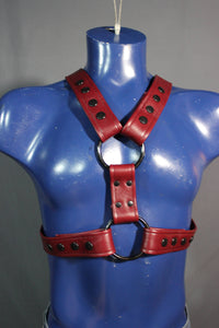 Classic Burgundy Extended X Harness, Soft Leather Strapping - front view