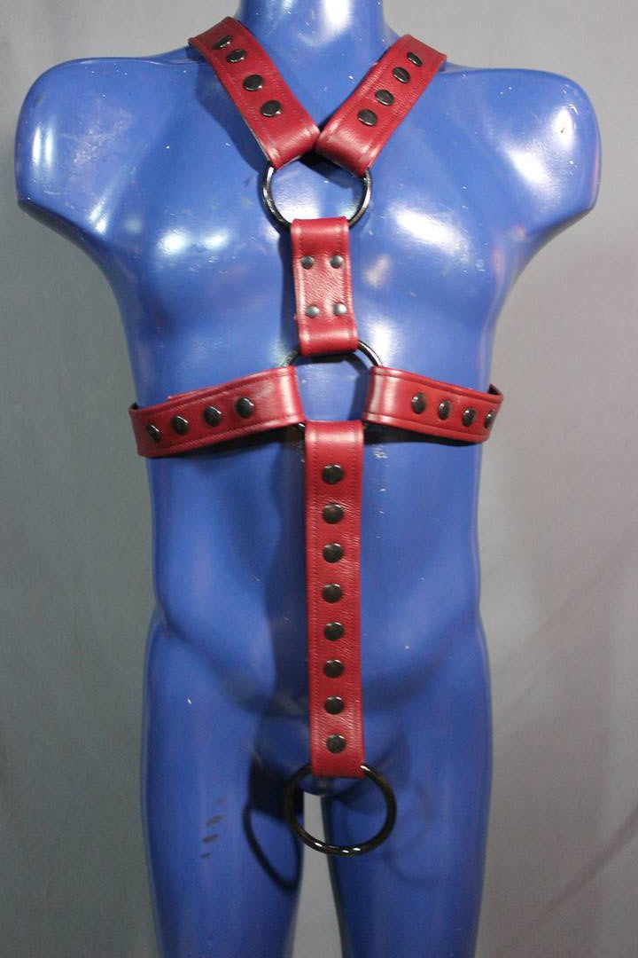 Classic Extended X Harness with Cockring Strap - view 2