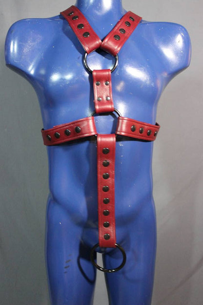 Classic Extended X Harness with Cockring Strap - view 2