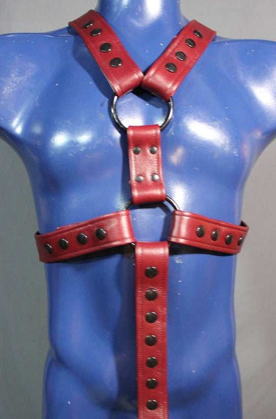 Classic Extended X Harness with Cockring Strap - front view