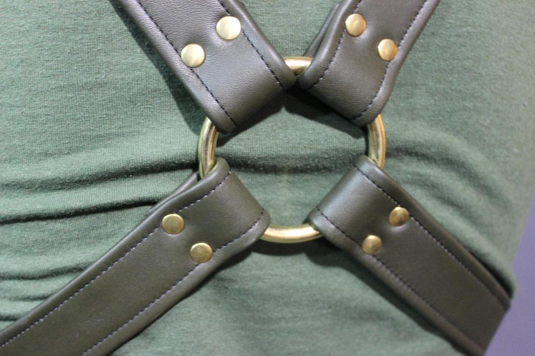 Classic Extended X Harness - view 13