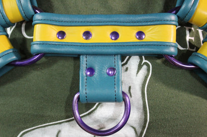 Two-Tone Bulldog Harness - view 21