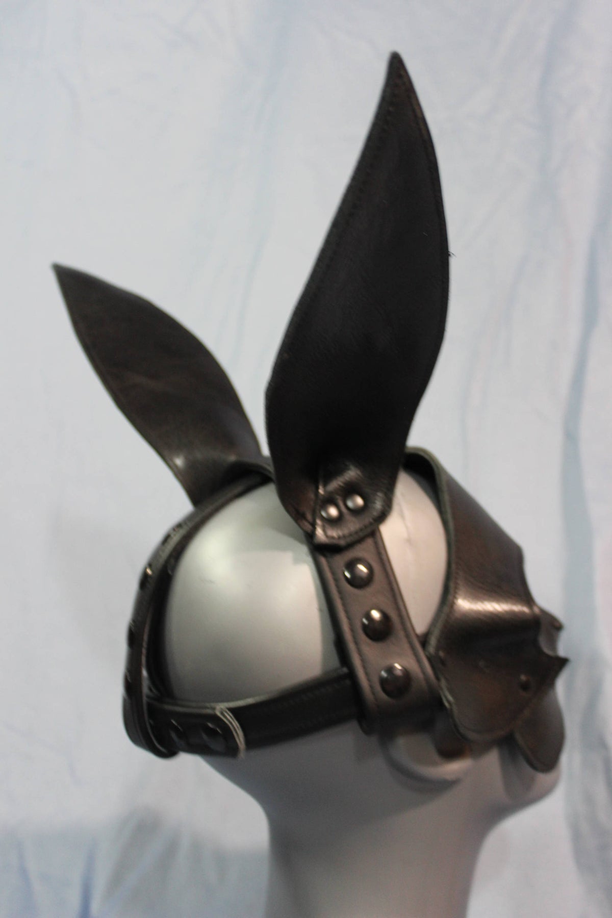 Bunny Hood! - view 5