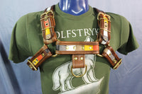 Our Bear Pride Bulldog Harness - front view