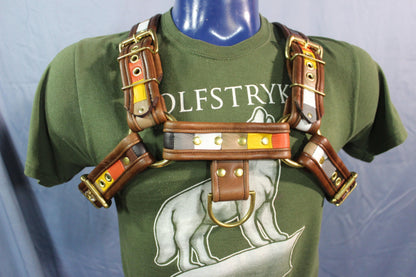 Our Bear Pride Bulldog Harness - front view