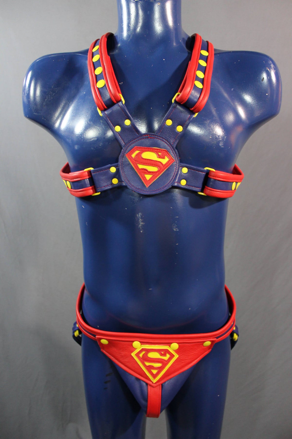 Our SUPER Harness! - view 5