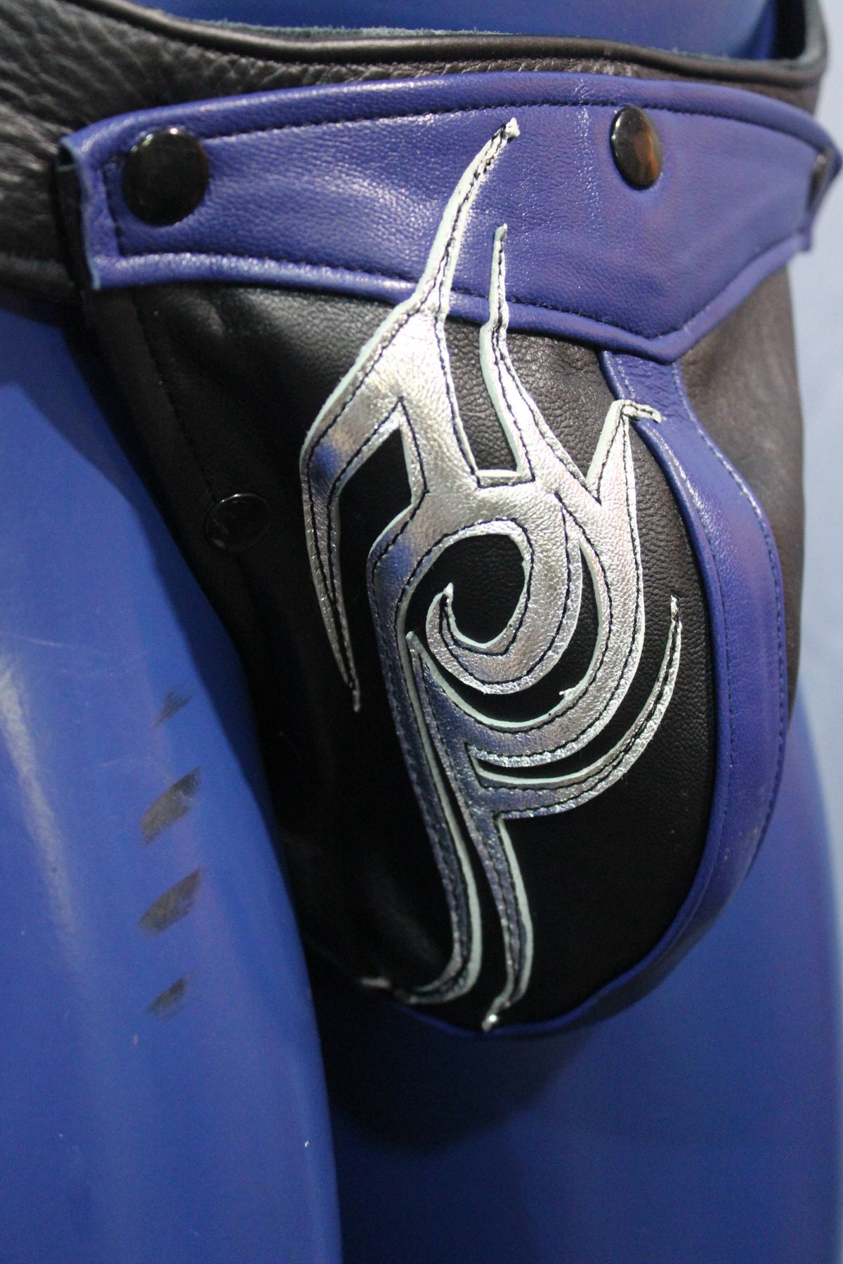 Pup Twilight's Jock - view 2