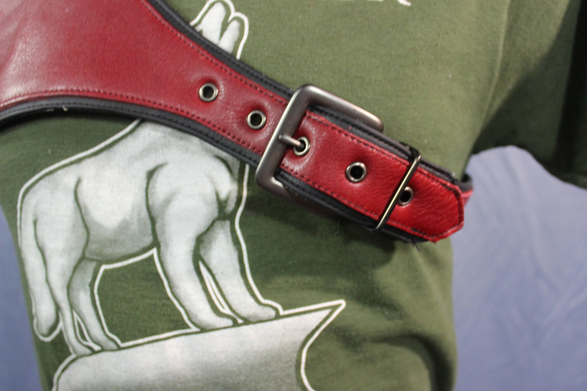 Burgundy and Black Tri-Point Harness - view 2