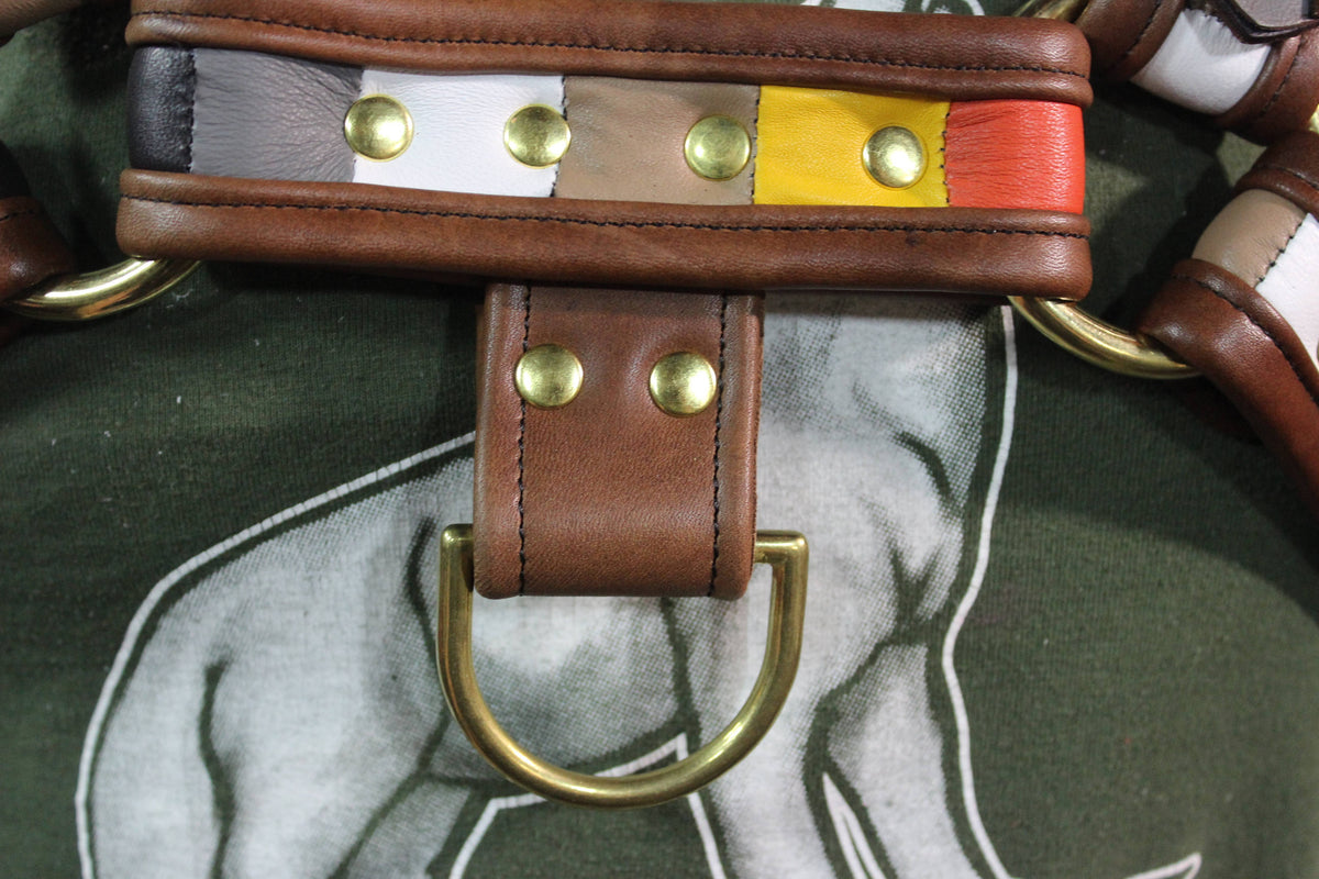 Our Bear Pride Bulldog Harness - view 3