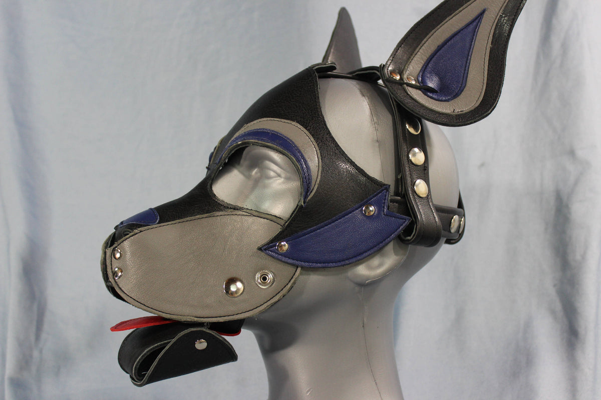 Husky style Pup Hood in Black, Blue, and Gray - front view