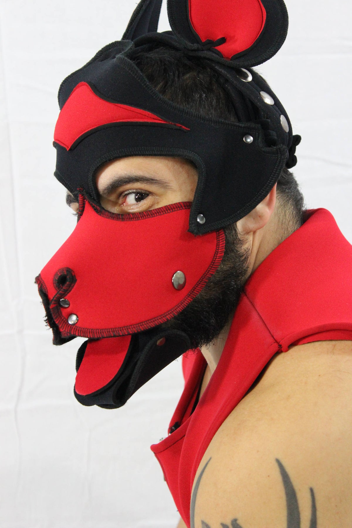Pupskinz Custom Two Toned Neoprene Husky Hood - front view