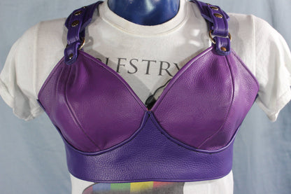 Anything BUT Basic! Our PURPLE PRINCESS edition of our leather Bra! - front view