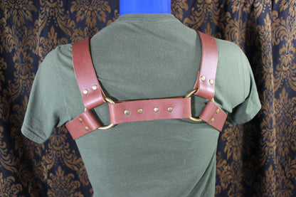 Our WORKING St. Bernard Harness - view 5