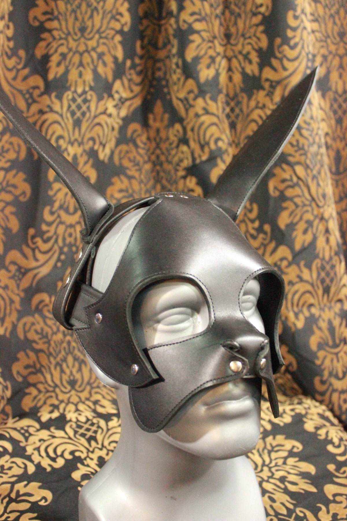 Bunny Hood! - view 2