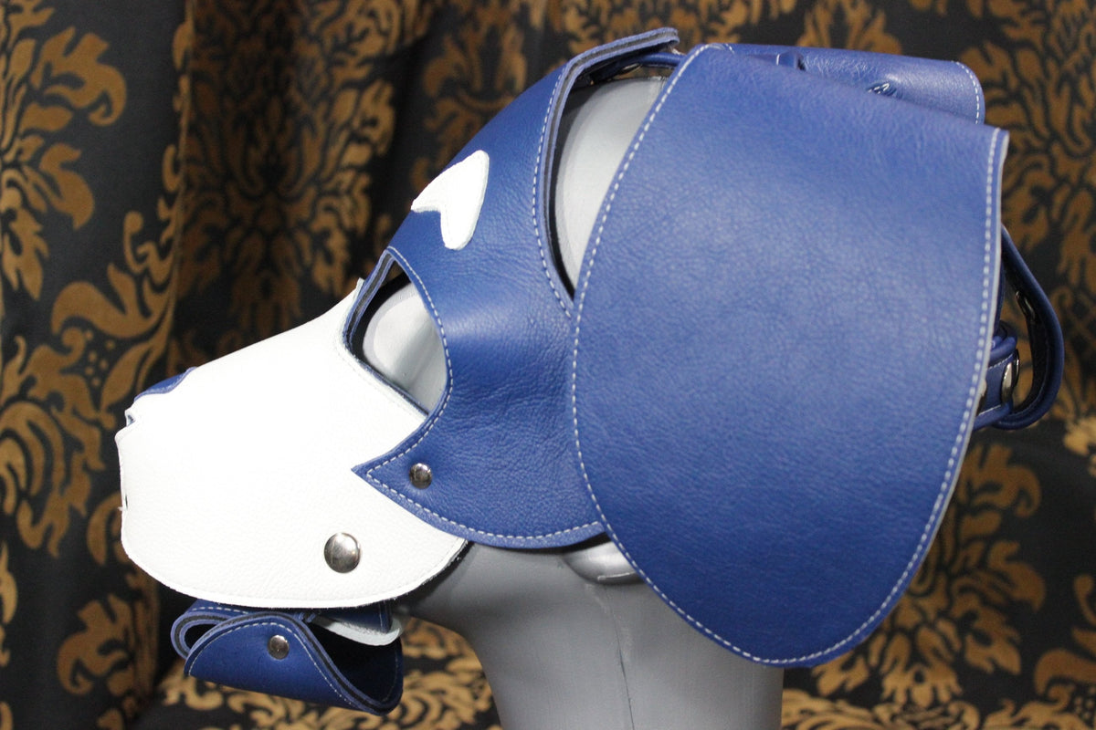 Basset Hound Style Pup Hood in Blue and White - view 4