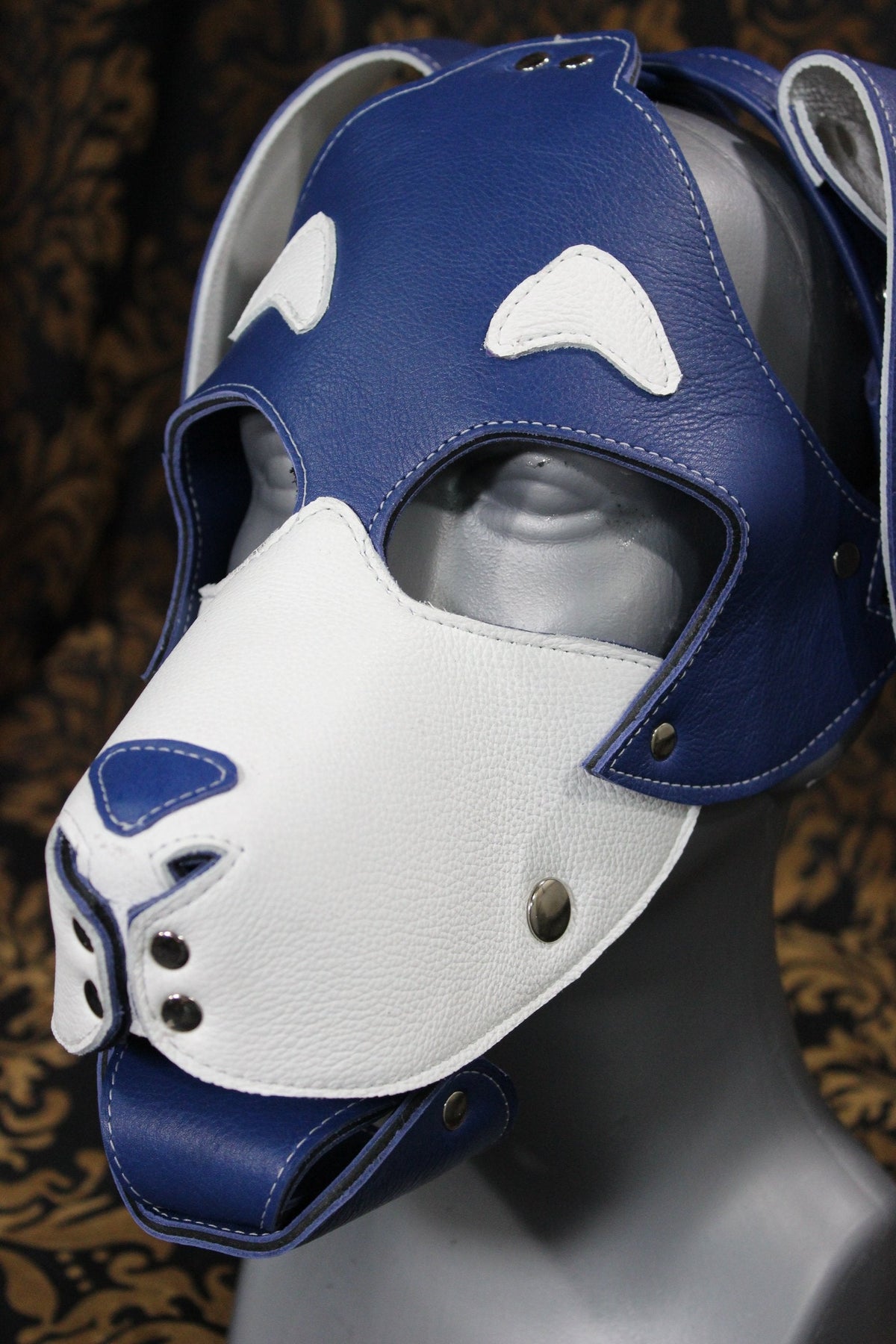 Basset Hound Style Pup Hood in Blue and White - view 2