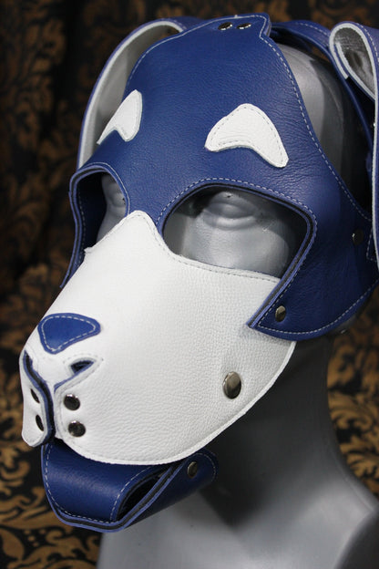 Basset Hound Style Pup Hood in Blue and White - view 2