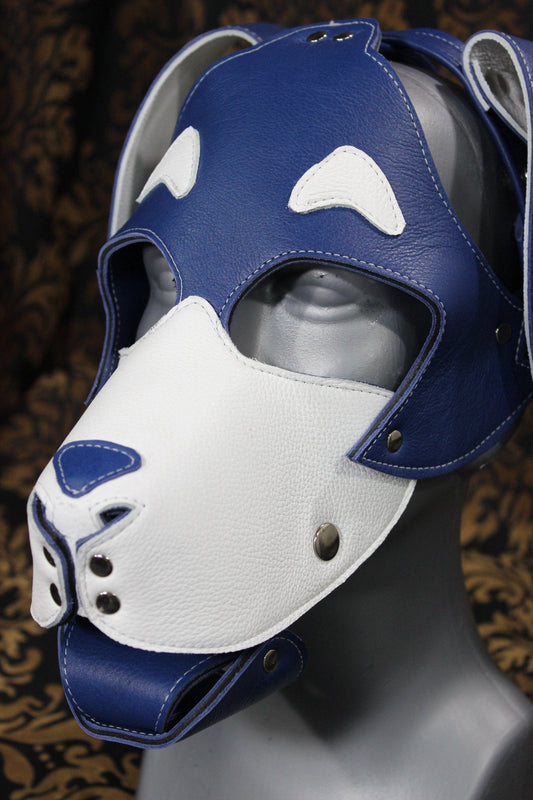 Basset Hound Style Pup Hood in Blue and White - view 2