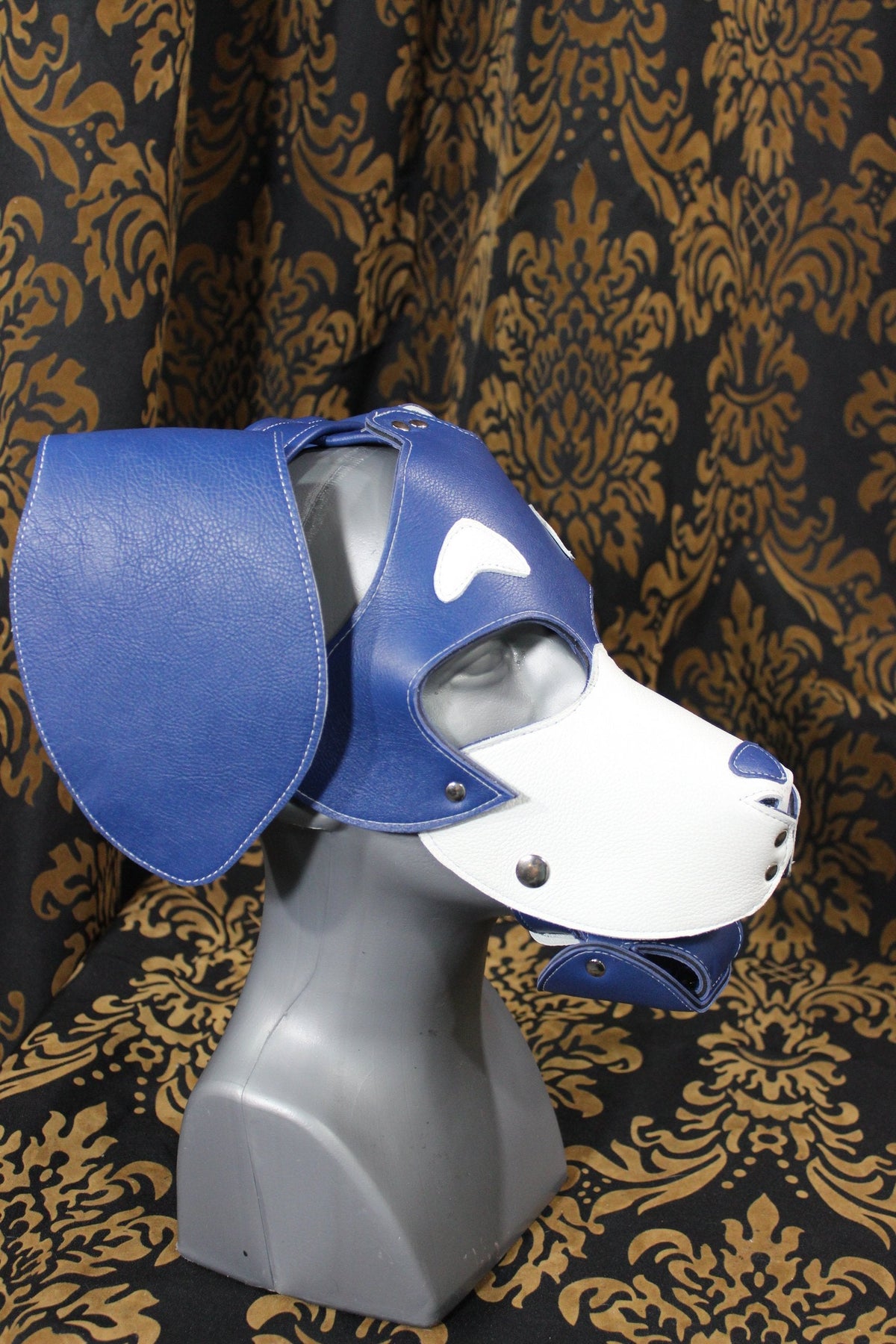 Basset Hound Style Pup Hood in Blue and White - front view