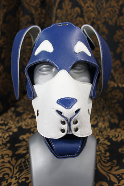 Basset Hound Style Pup Hood in Blue and White - view 5