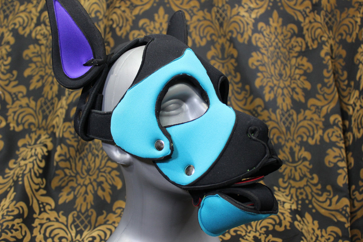 Pupskinz Custom Three Toned Neoprene Husky Hood - front view