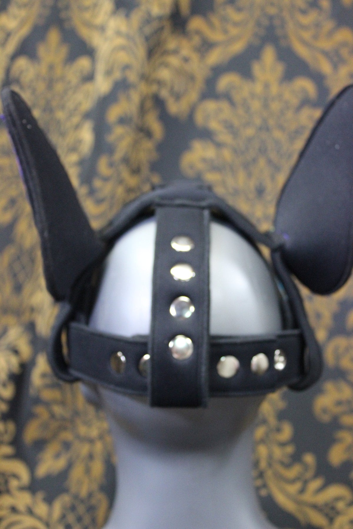 Pupskinz Custom Three Toned Neoprene Husky Hood - view 4