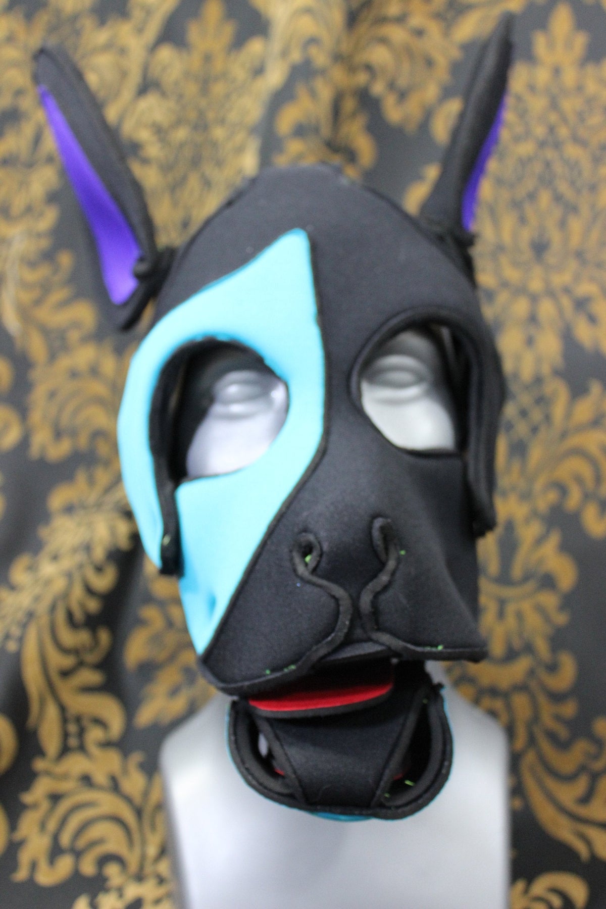 Pupskinz Custom Three Toned Neoprene Husky Hood - view 3