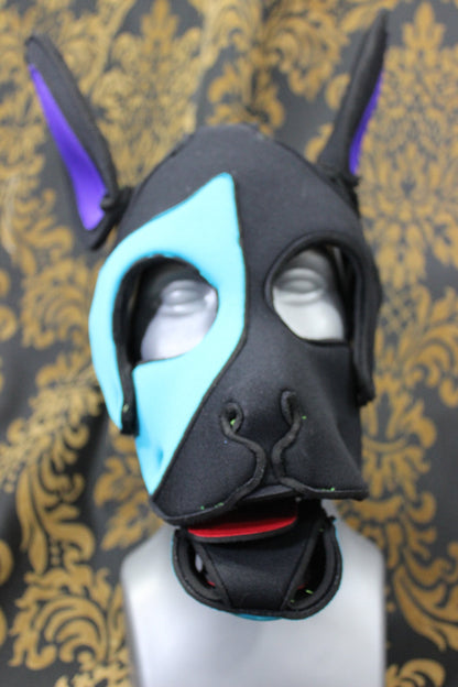 Pupskinz Custom Three Toned Neoprene Husky Hood - view 3