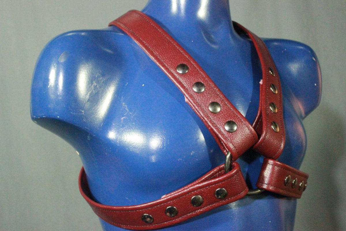 Red Leather X-Harness, Gunmetal Hardware - front view