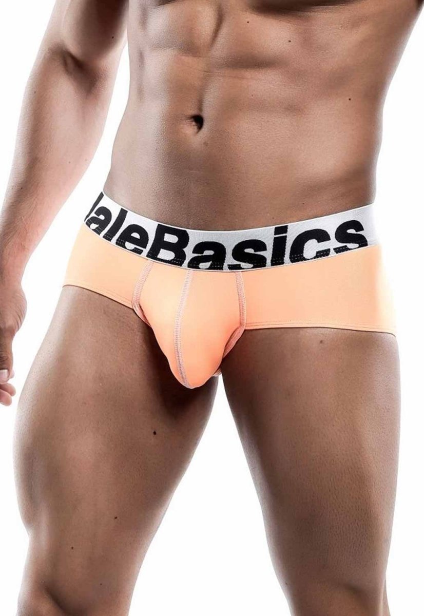 Malebasics Men's Sports Performance Hip Brief | MEN Brief | Malebasics | OUTFAIR | OUTFAIR
