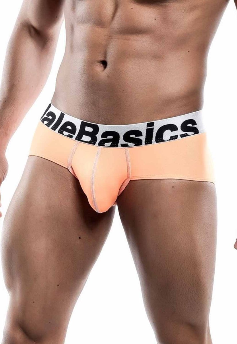 Malebasics Men's Sports Performance Hip Brief | MEN Brief | Malebasics | OUTFAIR | OUTFAIR